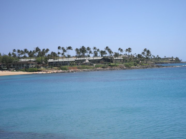 How To Create A New Online Income In 72 Hours 1 maui